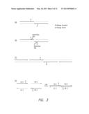 PROCESSES FOR DETECTION OF NUCLEIC ACIDS diagram and image