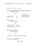 PROCESSES FOR DETECTION OF NUCLEIC ACIDS diagram and image