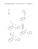 PROCESSES FOR DETECTION OF NUCLEIC ACIDS diagram and image