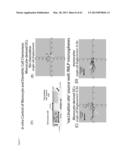 ARTIFICIAL IMMUNE SYSTEM: METHODS OF USE diagram and image