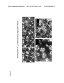 ARTIFICIAL IMMUNE SYSTEM: METHODS OF USE diagram and image