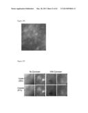 ARTIFICIAL IMMUNE SYSTEM: METHODS OF USE diagram and image