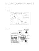 ARTIFICIAL IMMUNE SYSTEM: METHODS OF USE diagram and image