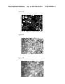 ARTIFICIAL IMMUNE SYSTEM: METHODS OF USE diagram and image