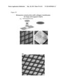 ARTIFICIAL IMMUNE SYSTEM: METHODS OF USE diagram and image