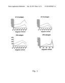 HYPERTHERMIA AUGMENTED IN-VITRO IMMUNE RECOGNITION diagram and image