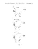 HYPERTHERMIA AUGMENTED IN-VITRO IMMUNE RECOGNITION diagram and image