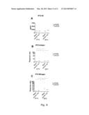 HYPERTHERMIA AUGMENTED IN-VITRO IMMUNE RECOGNITION diagram and image