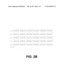 POLYPEPTIDES HAVING XYLANASE ACTIVITY AND POLYNUCLEOTIDES ENCODING SAME diagram and image