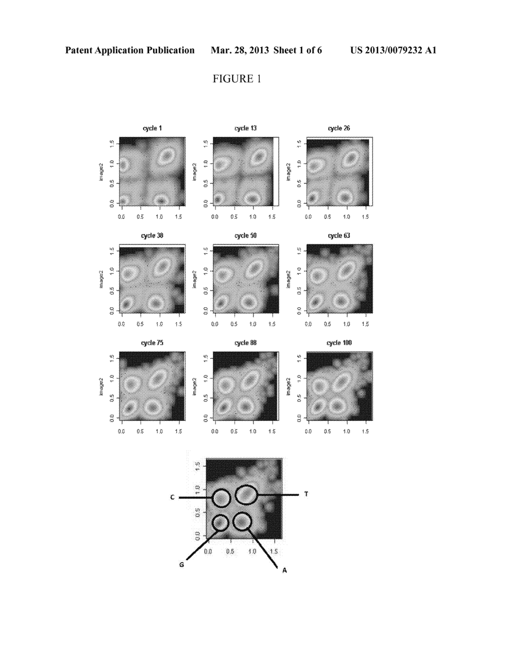 METHODS AND COMPOSITIONS FOR NUCLEIC ACID SEQUENCING - diagram, schematic, and image 02