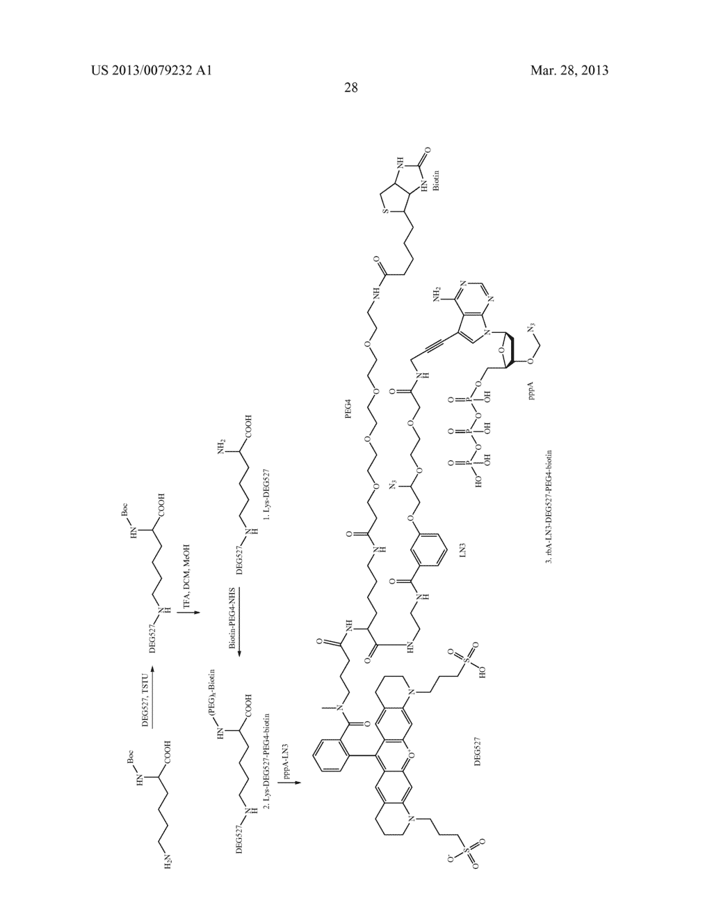 METHODS AND COMPOSITIONS FOR NUCLEIC ACID SEQUENCING - diagram, schematic, and image 35