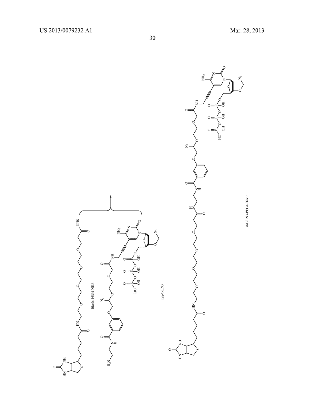 METHODS AND COMPOSITIONS FOR NUCLEIC ACID SEQUENCING - diagram, schematic, and image 37