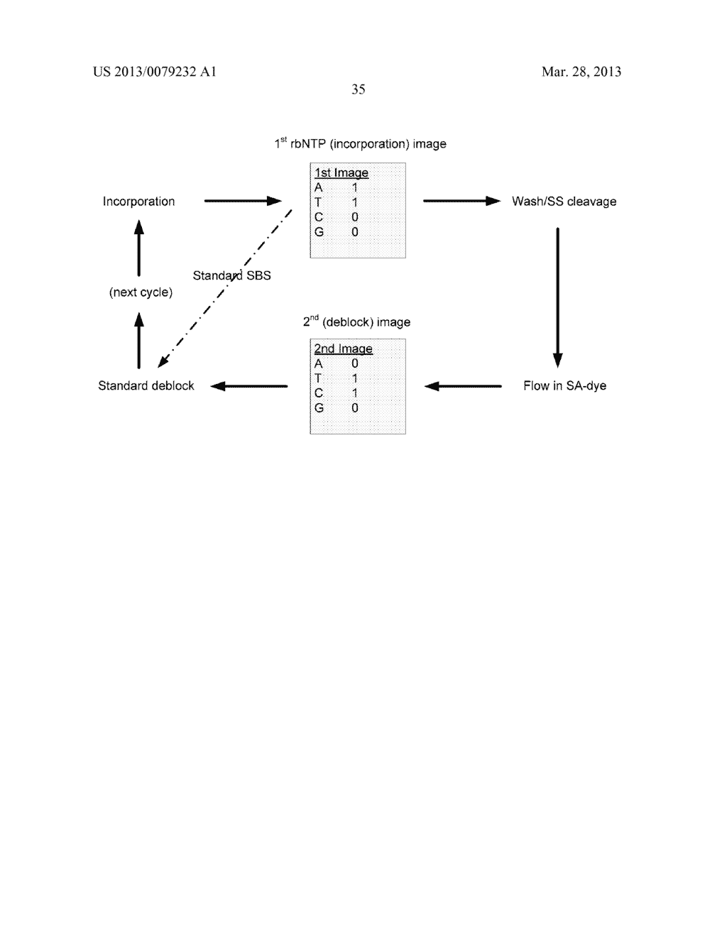 METHODS AND COMPOSITIONS FOR NUCLEIC ACID SEQUENCING - diagram, schematic, and image 42