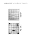 MICROARRAY-BASED SAMPLE ANALYSIS SYSTEM diagram and image