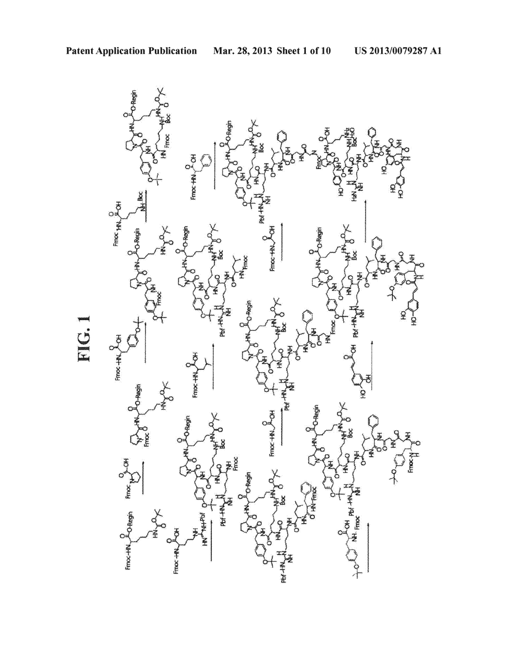 CAFFEOYLALPHANEOENDORPHIN PEPTIDE DERIVATIVE AND USE THEREOF AS     ANTI-ITCHING AND ANTI-ATOPIC AGENTS - diagram, schematic, and image 02