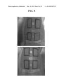 CAFFEOYLALPHANEOENDORPHIN PEPTIDE DERIVATIVE AND USE THEREOF AS     ANTI-ITCHING AND ANTI-ATOPIC AGENTS diagram and image