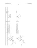 DERIVATIVES OF 1-PHENYL-2-PYRIDINYL ALKYL ALCOHOLS AS PHOSPHODIESTERASE     INHIBITORS diagram and image