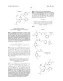 DERIVATIVES OF 1-PHENYL-2-PYRIDINYL ALKYL ALCOHOLS AS PHOSPHODIESTERASE     INHIBITORS diagram and image