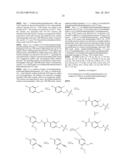 Amine Substituted Methanesulfonamide Derivatives as Vanilloid Receptor     Ligands diagram and image