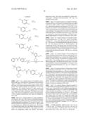 Amine Substituted Methanesulfonamide Derivatives as Vanilloid Receptor     Ligands diagram and image