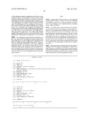 N-PHENYL IMIDAZOLE CARBOXAMIDE INHIBITORS OF 3-PHOSPHOINOSITIDE-DEPENDENT     PROTEIN KINASE-1 diagram and image