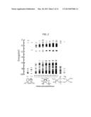 ORGANIC-INORGANIC HYBRID POLYMER HAVING QUANTUM WELL STRUCTURES diagram and image