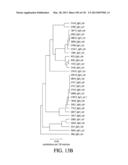 ANTIGEN BINDING PROTEINS TO PROPROTEIN CONVERTASE SUBTILISIN KEXIN TYPE 9     (PCSK9) diagram and image