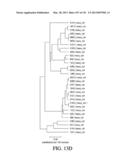 ANTIGEN BINDING PROTEINS TO PROPROTEIN CONVERTASE SUBTILISIN KEXIN TYPE 9     (PCSK9) diagram and image