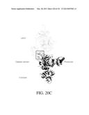 ANTIGEN BINDING PROTEINS TO PROPROTEIN CONVERTASE SUBTILISIN KEXIN TYPE 9     (PCSK9) diagram and image