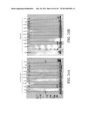 ANTIGEN BINDING PROTEINS TO PROPROTEIN CONVERTASE SUBTILISIN KEXIN TYPE 9     (PCSK9) diagram and image