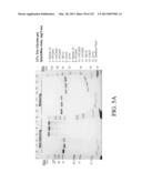 ANTIGEN BINDING PROTEINS TO PROPROTEIN CONVERTASE SUBTILISIN KEXIN TYPE 9     (PCSK9) diagram and image