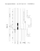 ORGANIC LIGHT EMITTING DIODE DISPLAY DEVICE diagram and image