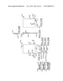 HANDHELD DUAL DISPLAY DEVICE HAVING FOLDOVER GROUND TABS diagram and image