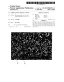 SLIDING ELEMENT WITH DLC COATING diagram and image