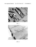 SURFACTANTLESS METALLIC NANOSTRUCTURES AND METHOD FOR SYNTHESIZING SAME diagram and image