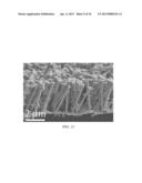 SURFACTANTLESS METALLIC NANOSTRUCTURES AND METHOD FOR SYNTHESIZING SAME diagram and image