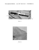 SURFACTANTLESS METALLIC NANOSTRUCTURES AND METHOD FOR SYNTHESIZING SAME diagram and image