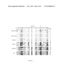 METHYLATED CODING AND NON-CODING RNA GENES AS DIAGNOSTIC AND THERAPEUTIC     TOOLS FOR HUMAN MELANOMA diagram and image