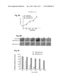 METHYLATED CODING AND NON-CODING RNA GENES AS DIAGNOSTIC AND THERAPEUTIC     TOOLS FOR HUMAN MELANOMA diagram and image