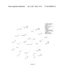 METHYLATED CODING AND NON-CODING RNA GENES AS DIAGNOSTIC AND THERAPEUTIC     TOOLS FOR HUMAN MELANOMA diagram and image