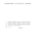 METHYLATED CODING AND NON-CODING RNA GENES AS DIAGNOSTIC AND THERAPEUTIC     TOOLS FOR HUMAN MELANOMA diagram and image