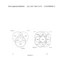 METHYLATED CODING AND NON-CODING RNA GENES AS DIAGNOSTIC AND THERAPEUTIC     TOOLS FOR HUMAN MELANOMA diagram and image