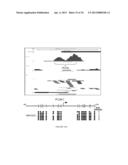 METHYLATED CODING AND NON-CODING RNA GENES AS DIAGNOSTIC AND THERAPEUTIC     TOOLS FOR HUMAN MELANOMA diagram and image