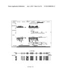 METHYLATED CODING AND NON-CODING RNA GENES AS DIAGNOSTIC AND THERAPEUTIC     TOOLS FOR HUMAN MELANOMA diagram and image