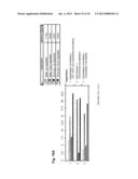 METHYLATED CODING AND NON-CODING RNA GENES AS DIAGNOSTIC AND THERAPEUTIC     TOOLS FOR HUMAN MELANOMA diagram and image