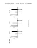 METHYLATED CODING AND NON-CODING RNA GENES AS DIAGNOSTIC AND THERAPEUTIC     TOOLS FOR HUMAN MELANOMA diagram and image