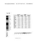 METHYLATED CODING AND NON-CODING RNA GENES AS DIAGNOSTIC AND THERAPEUTIC     TOOLS FOR HUMAN MELANOMA diagram and image