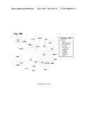 METHYLATED CODING AND NON-CODING RNA GENES AS DIAGNOSTIC AND THERAPEUTIC     TOOLS FOR HUMAN MELANOMA diagram and image