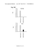 METHYLATED CODING AND NON-CODING RNA GENES AS DIAGNOSTIC AND THERAPEUTIC     TOOLS FOR HUMAN MELANOMA diagram and image