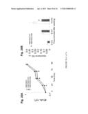 METHYLATED CODING AND NON-CODING RNA GENES AS DIAGNOSTIC AND THERAPEUTIC     TOOLS FOR HUMAN MELANOMA diagram and image